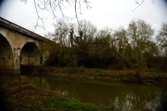 maine-et-loire-chalonnes-sur-loire-bords-layon