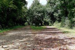 manche-bifurcation-la-haye-du-puits-nord manche-bifurcation-la-haye-du-puits-nord