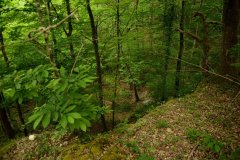 carriere-pont-vert-14