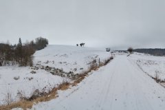 jura-doubs-section-andelot-levier