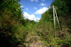 correze-section-brive-nexon-vegetation