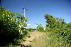 embranchement-8