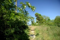 embranchement-9