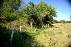 embranchement-1