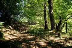 embranchement-21