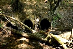 embranchement-28