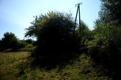 embranchement-3
