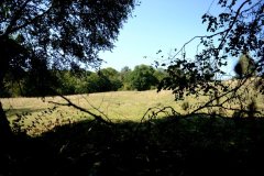embranchement-30