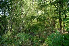 embranchement-31