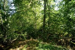 embranchement-32