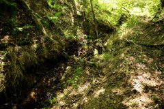 embranchement-36