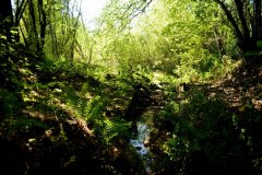 embranchement-39