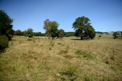 embranchement-4