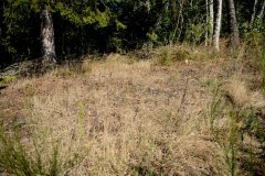 embranchement-44