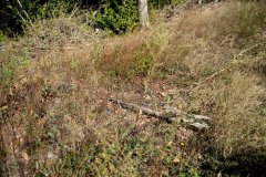 embranchement-47