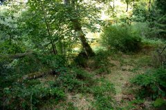 embranchement-57