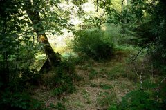 embranchement-58