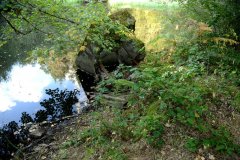 embranchement-61