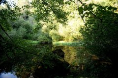 embranchement-62