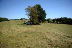 embranchement-7