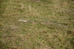 embranchement-8