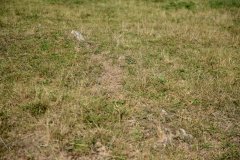 embranchement-9