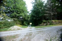 embranchement-90