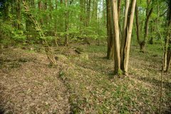hameau-marechaux-19