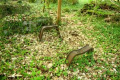 hameau-marechaux-27