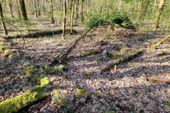 hameau-marechaux-38