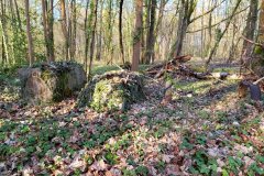 hameau-marechaux-46