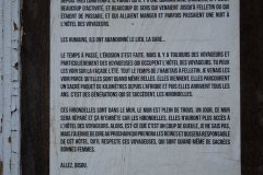affiche sur une vitre