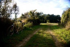 vélo au bord d’un chemin