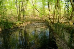 mare-abreuvoir-grande