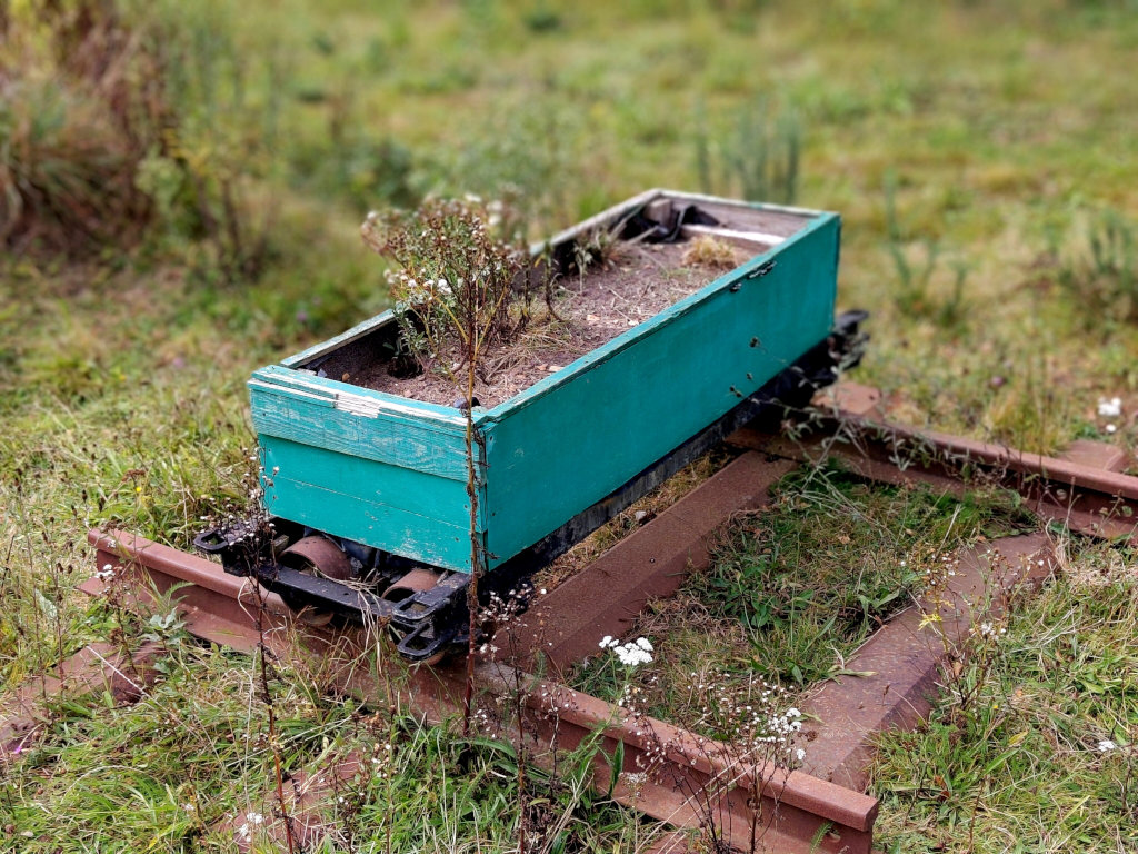 bogie, herbe, jardinière, rails