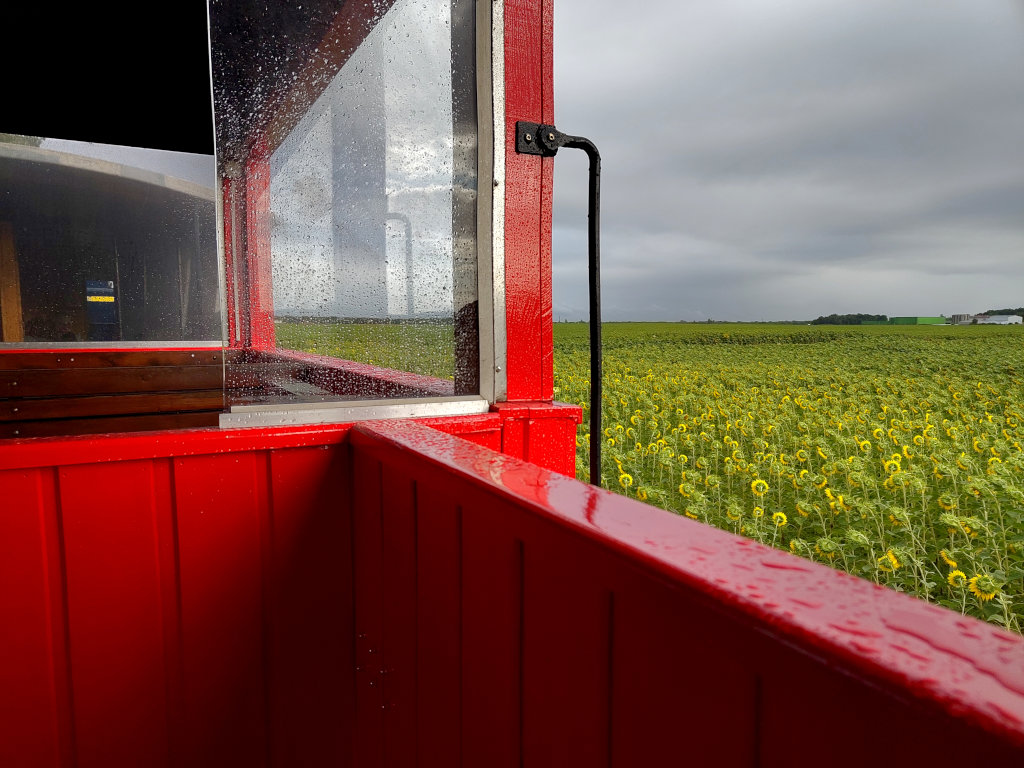 train, champ de tournesols